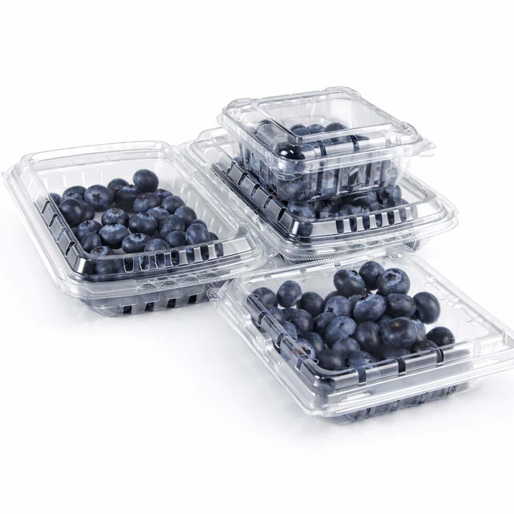 Blueberry clamshell packaging reference with clear hinged PET boxes