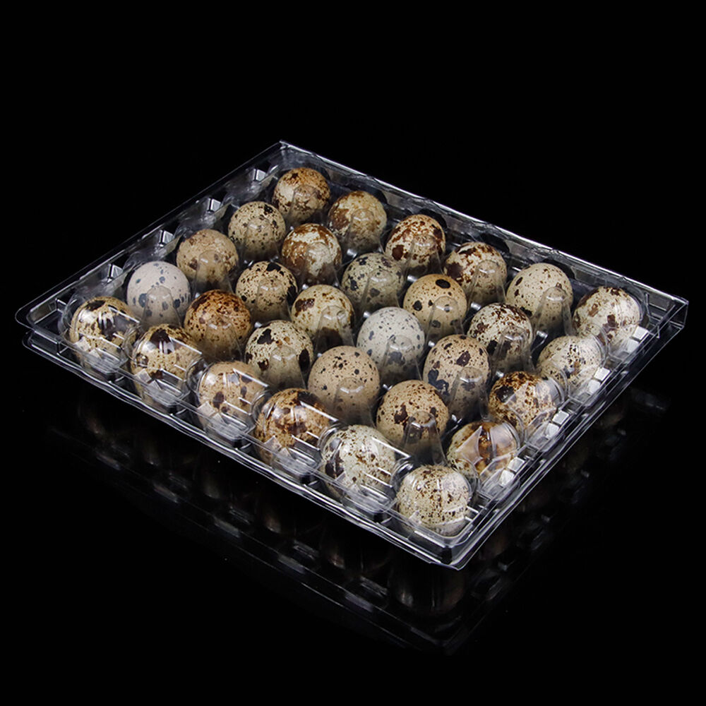 Clear plastic egg packaging reference with 30 cavity quail egg tray