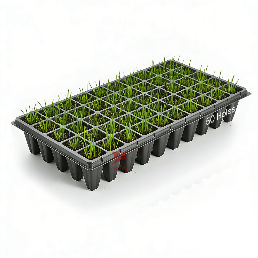 Seedling nursery tray reference with plug cells and small plants